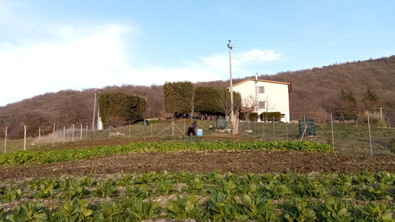 Agriturismo Costa San Bernardo Villa Vaglio di Basilicata Esterno foto